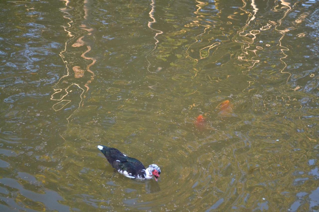 Pousada Di Venezia - Hotel Fazenda Nova Veneza  Bagian luar foto